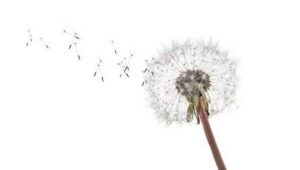 Die Hypnosepraxis hilft Ihnen vergangene Beziehung loslassen und abschließen